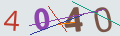 verifycode